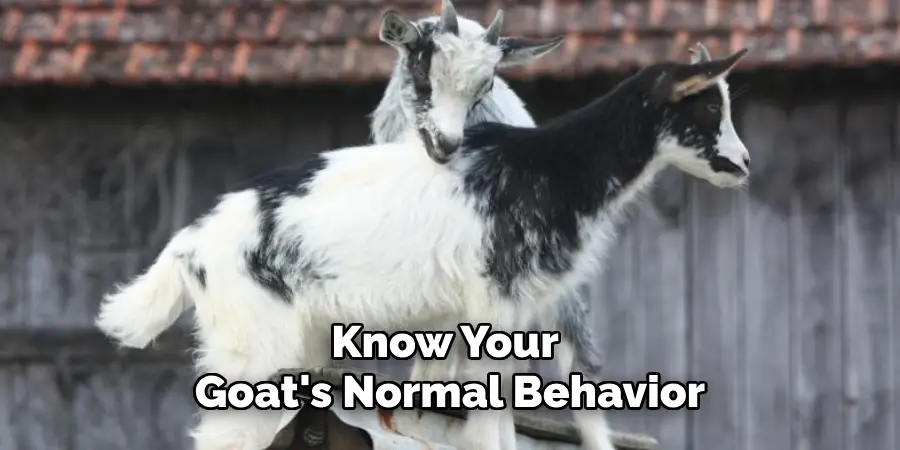 Know Your Goat's Normal Behavior