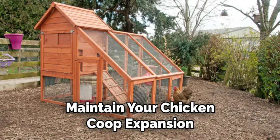 Maintain Your Chicken Coop Expansion
