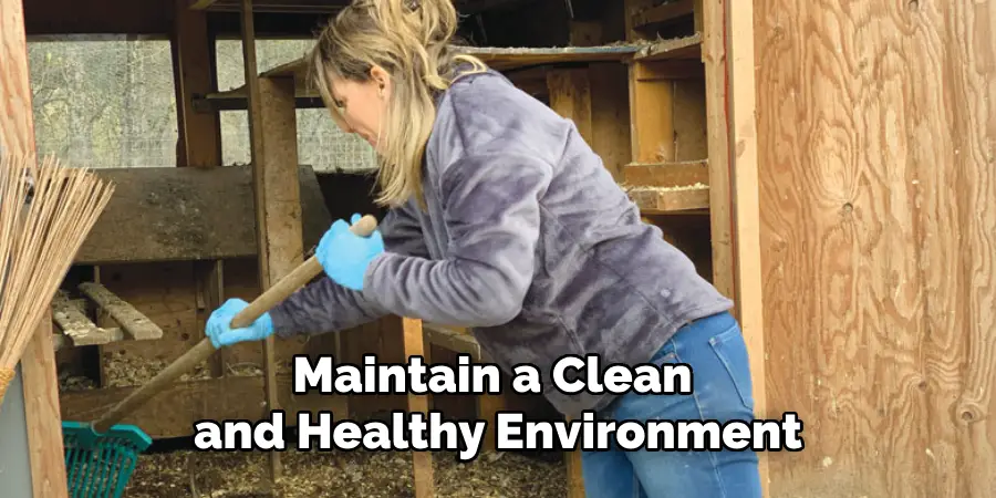 Maintain a Clean and Healthy Environment