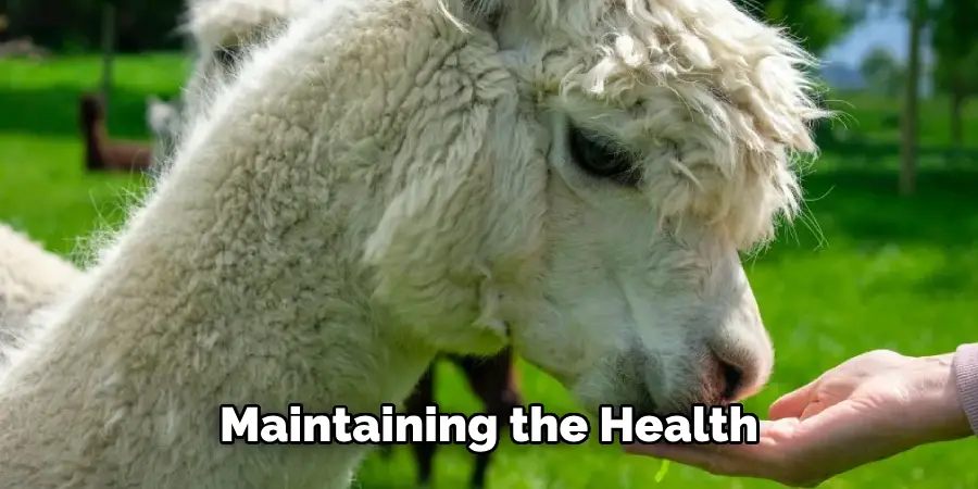 Maintaining the Health