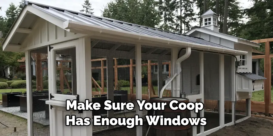 Make Sure Your Coop Has Enough Windows