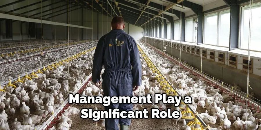 Management Play a Significant Role 
