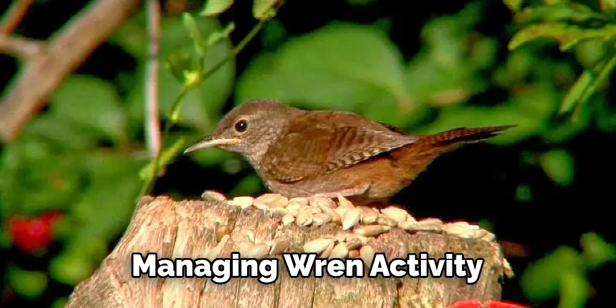 Managing Wren Activity