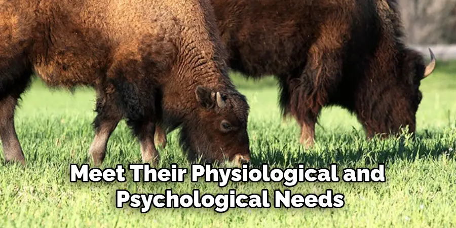Meet Their Physiological and Psychological Needs