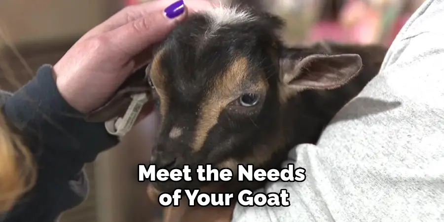 Meet the Needs of Your Goat