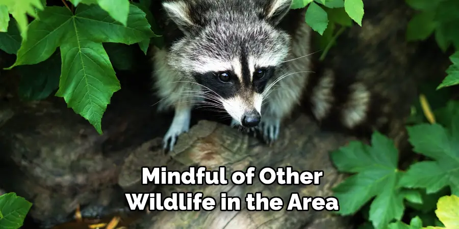 Mindful of Other Wildlife in the Area