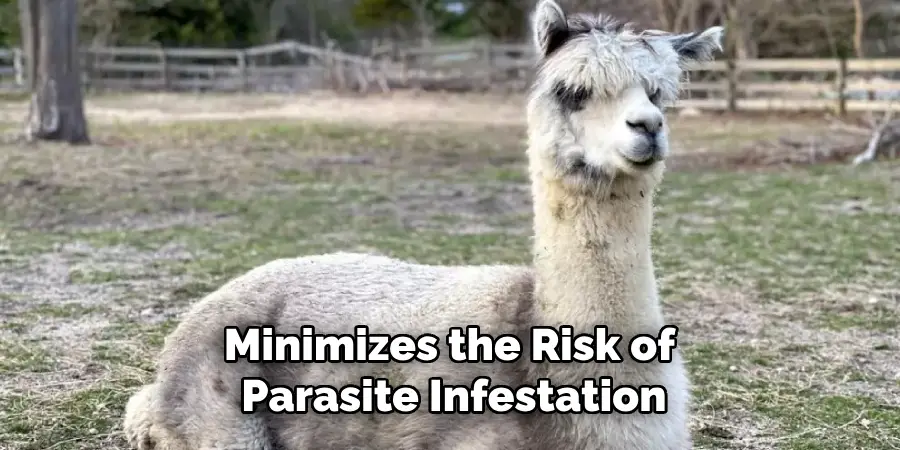 Minimizes the Risk of Parasite Infestation