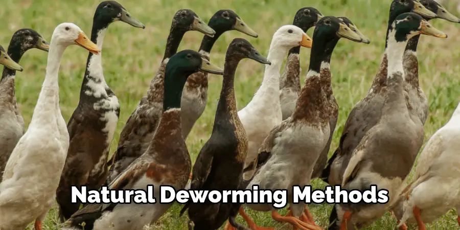 Natural Deworming Methods