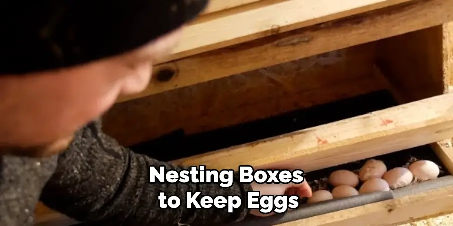 Nesting Boxes to Keep Eggs