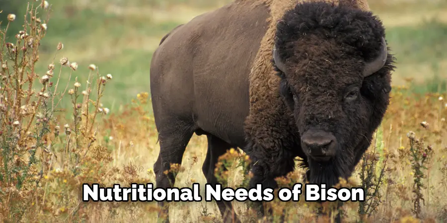 Nutritional Needs of Bison