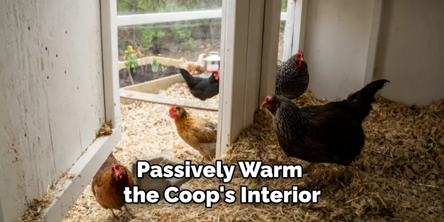 Passively Warm the Coop's Interior