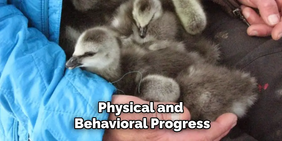 Physical and Behavioral Progress