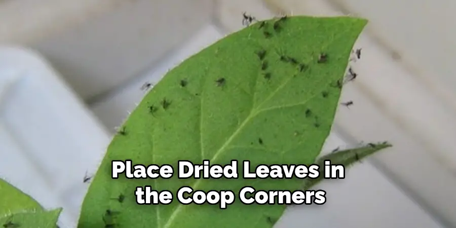 Place Dried Leaves in the Coop Corners