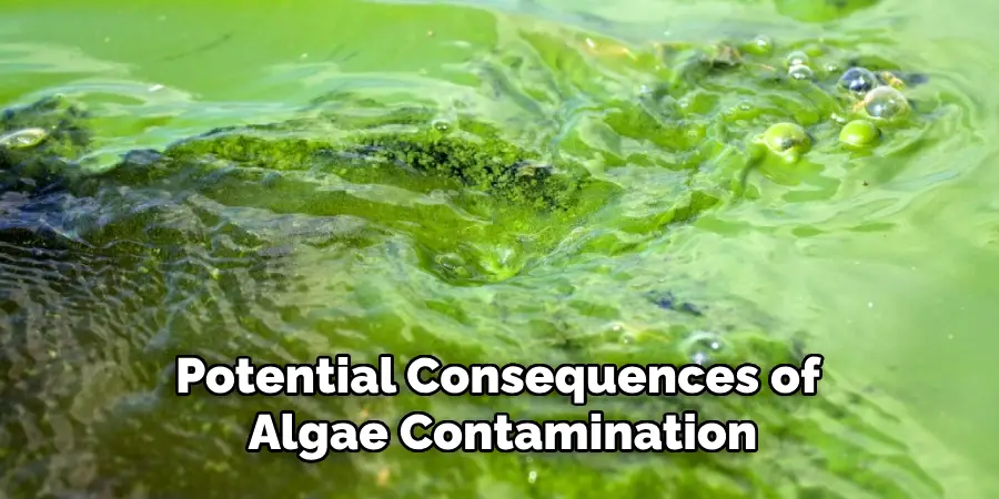 Potential Consequences of Algae Contamination