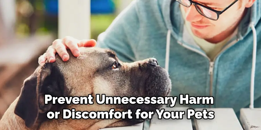 Prevent Unnecessary Harm or Discomfort for Your Pets