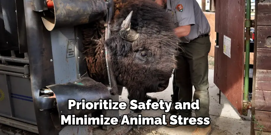 Prioritize Safety and Minimize Animal Stress