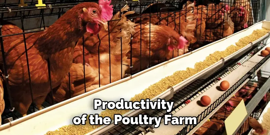 Productivity of the Poultry Farm