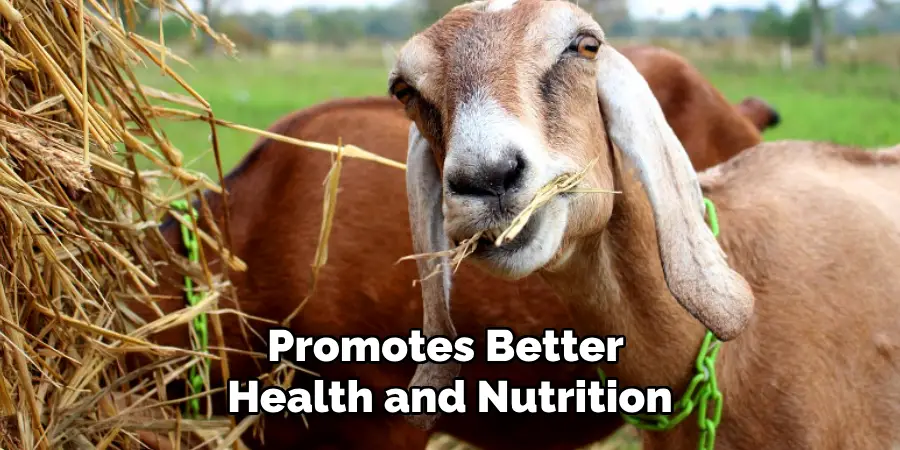 Promotes Better Health and Nutrition