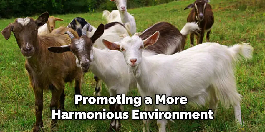 Promoting a More Harmonious Environment