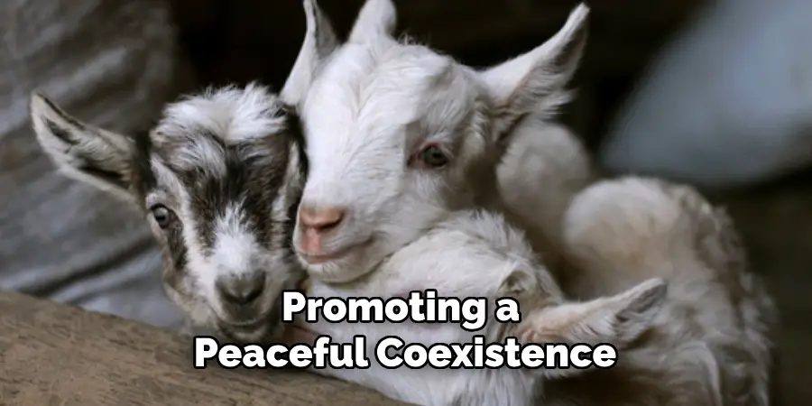 Promoting a Peaceful Coexistence