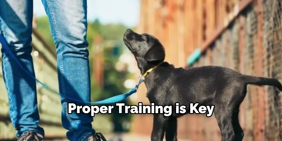 Proper Training is Key
