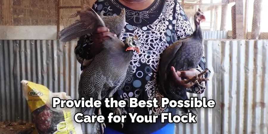 Provide the Best Possible Care for Your Flock
