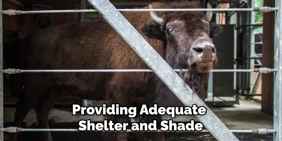 Providing Adequate Shelter and Shade