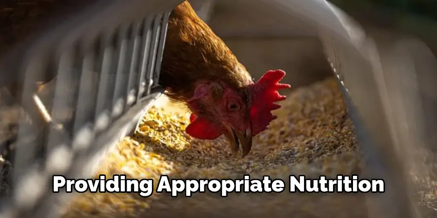 Providing Appropriate Nutrition