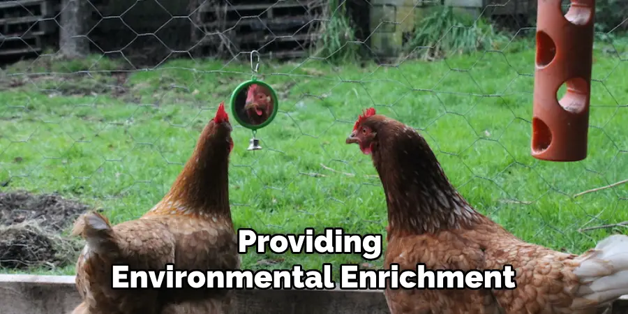 Providing Environmental Enrichment