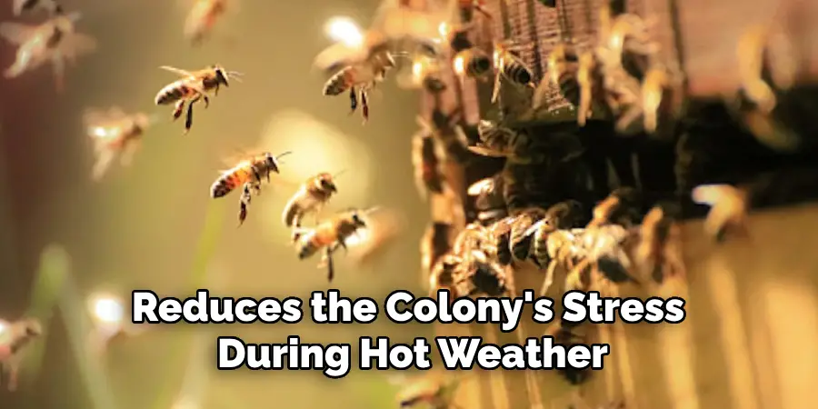 Reduces the Colony's Stress During Hot Weather