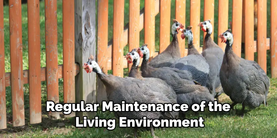 Regular Maintenance of the Living Environment