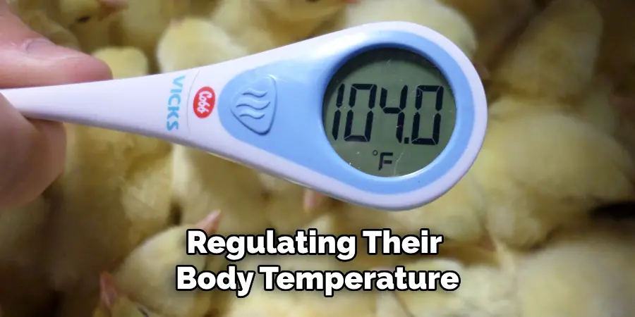 Regulating Their Body Temperature