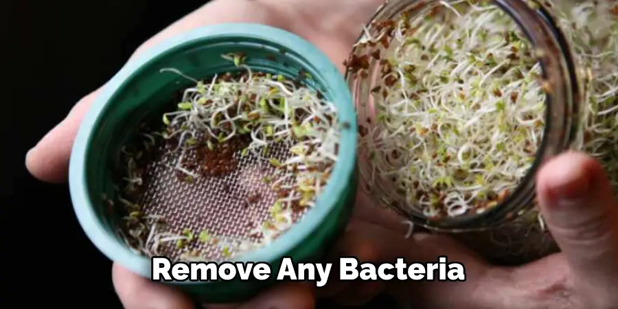 Remove Any Bacteria