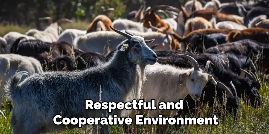 Respectful and Cooperative Environment