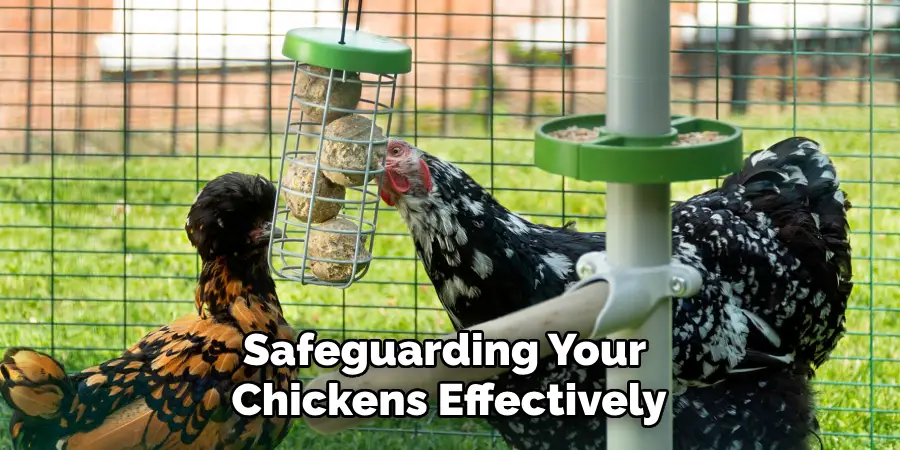 Safeguarding Your Chickens Effectively
