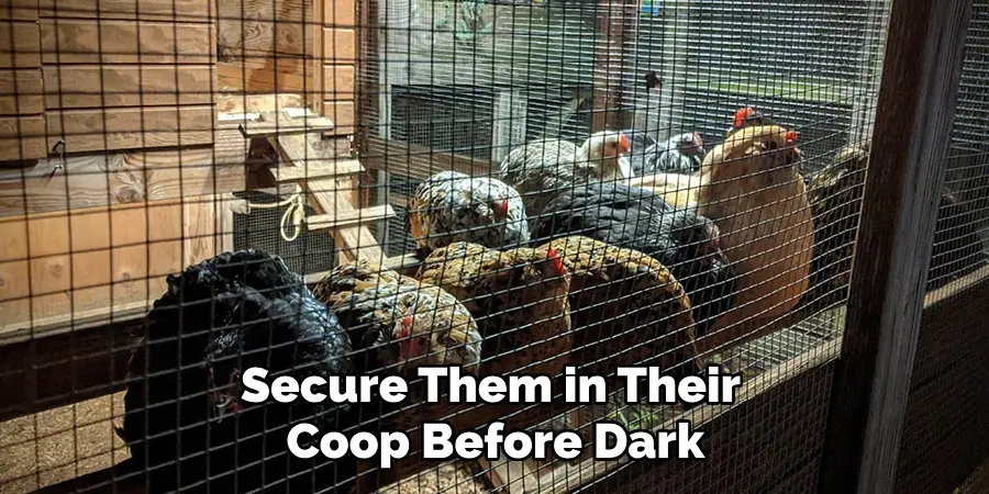 Secure Them in Their Coop Before Dark