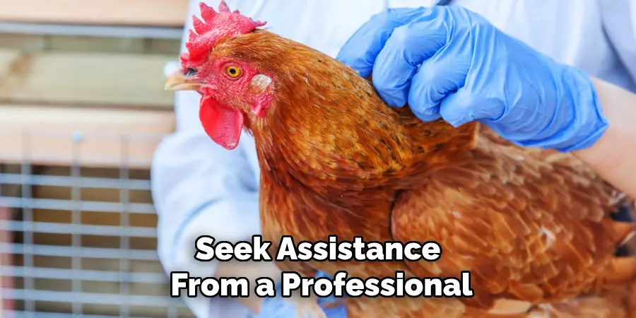 Seek Assistance From a Professional