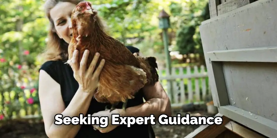 Seeking Expert Guidance