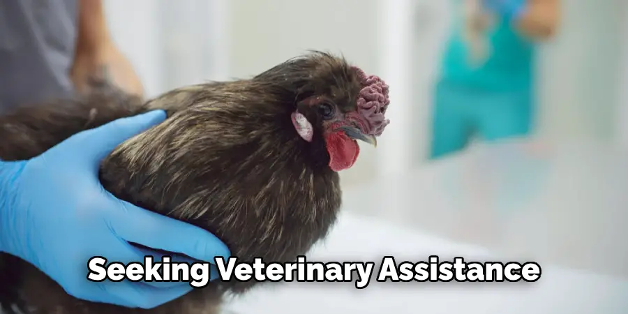 Seeking Veterinary Assistance