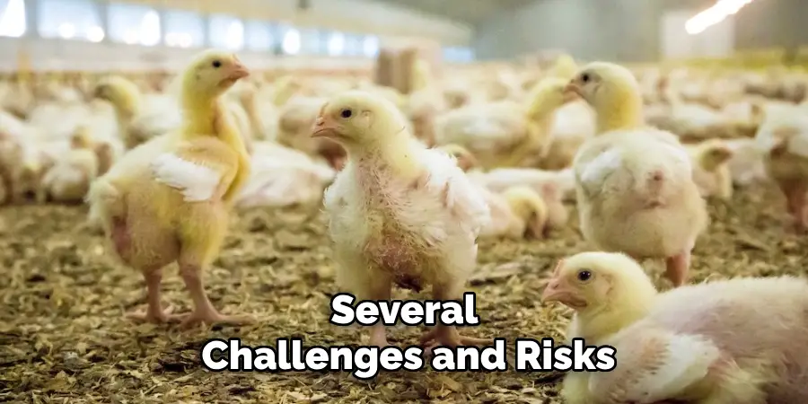 Several Challenges and Risks