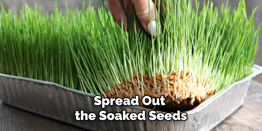 Spread Out the Soaked Seeds