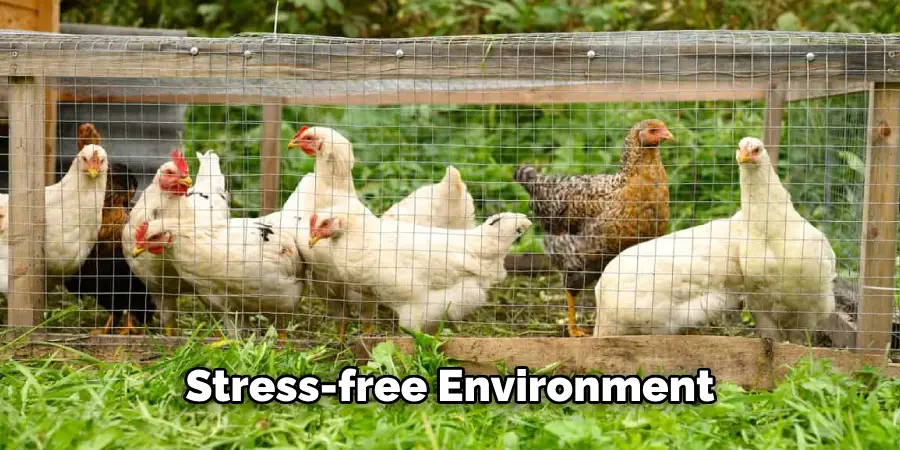 Stress-free Environment