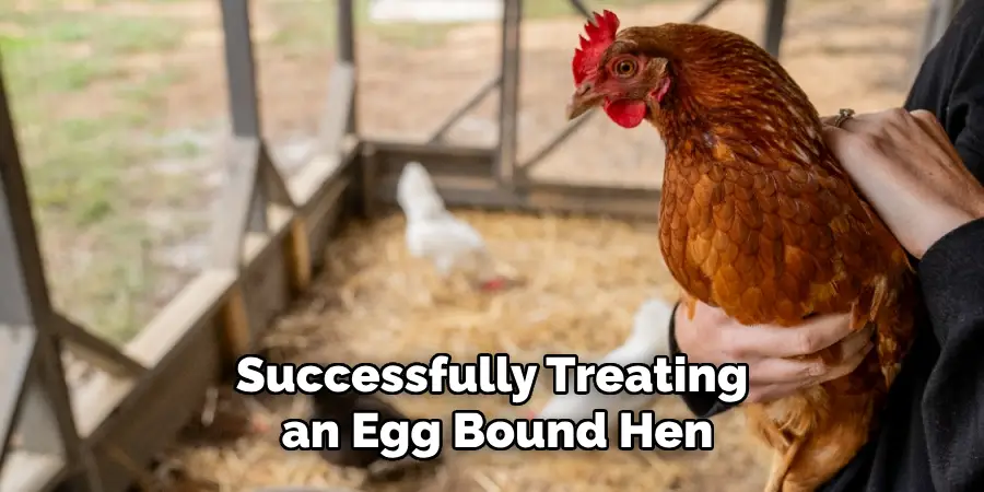 Successfully Treating an Egg Bound Hen