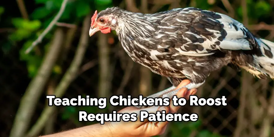 Teaching Chickens to Roost
Requires Patience