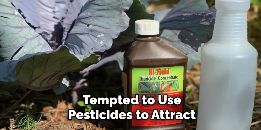 Tempted to Use Pesticides to Attract