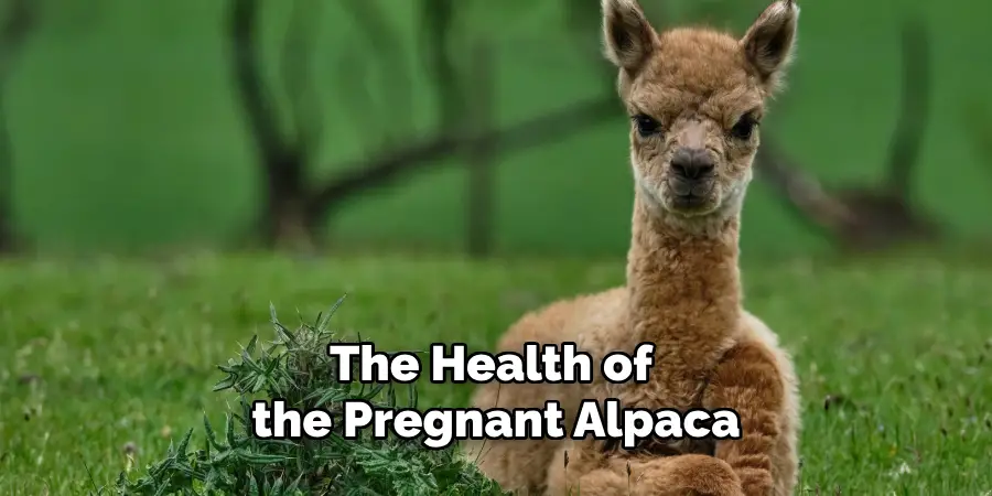 The Health of the Pregnant Alpaca
