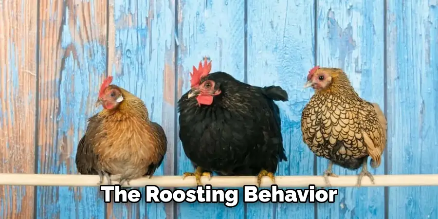 The Roosting Behavior