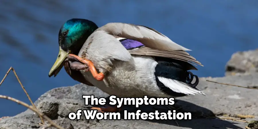 The Symptoms of Worm Infestation
