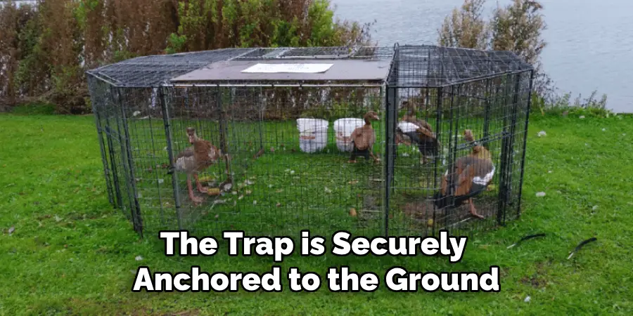 The Trap is Securely Anchored to the Ground