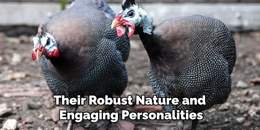 Their Robust Nature and Engaging Personalities
